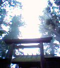 041002_141631.jpg