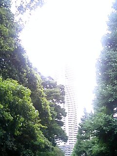 080528_1730~0001.jpg